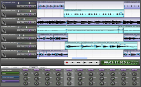 Example DAW (Digital Audio Workstation)